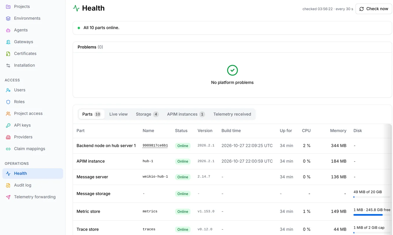The Health page with all 10 parts online, no platform problems and the table of parts with the backend, the API gateway, the message server and the stores